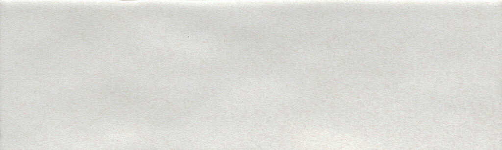 PASSION™ 3" x 8" Blanco