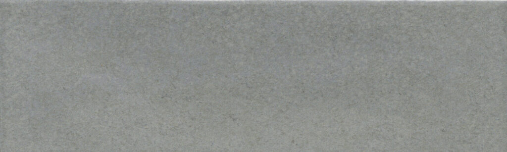 PASSION™ 3" x 8" Gris