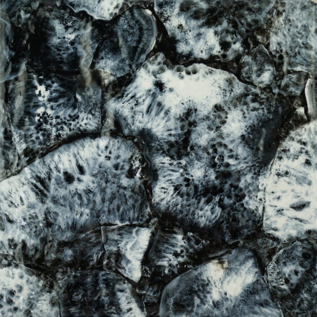 6X6 Reef Dark Porcelain Tile
