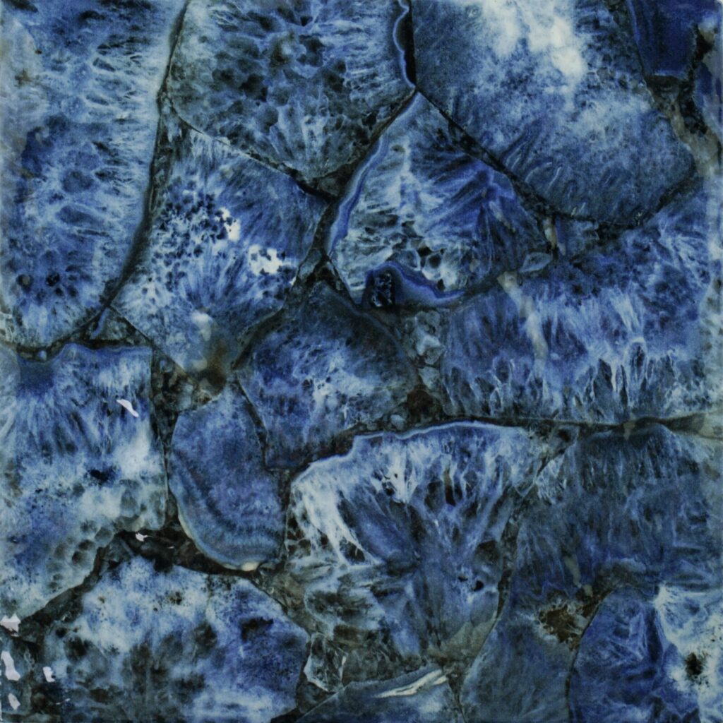 6X6 Reef Ocean Porcelain Tile