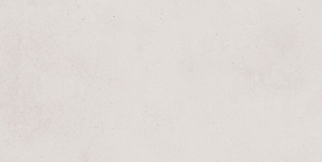 Fregio 24x48 Gray Matte