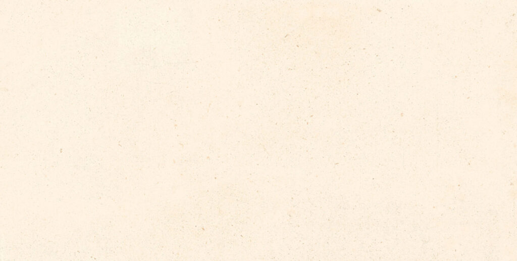 Fregio 24x48 Ivory Matte