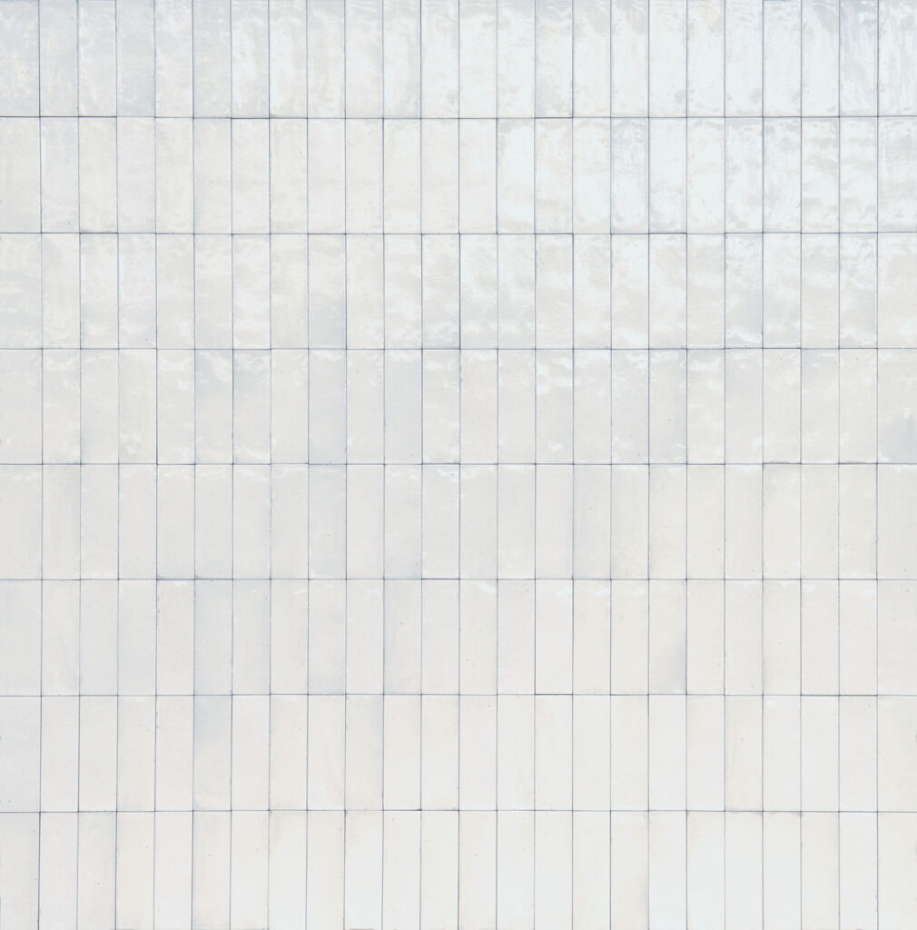 Rice Bianco Rectangle 2x6