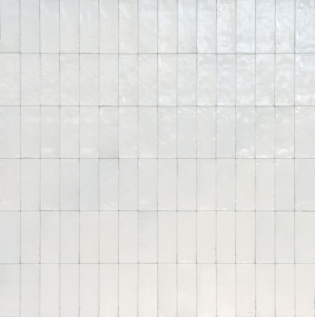 Rice Bianco Rectangle 3x8