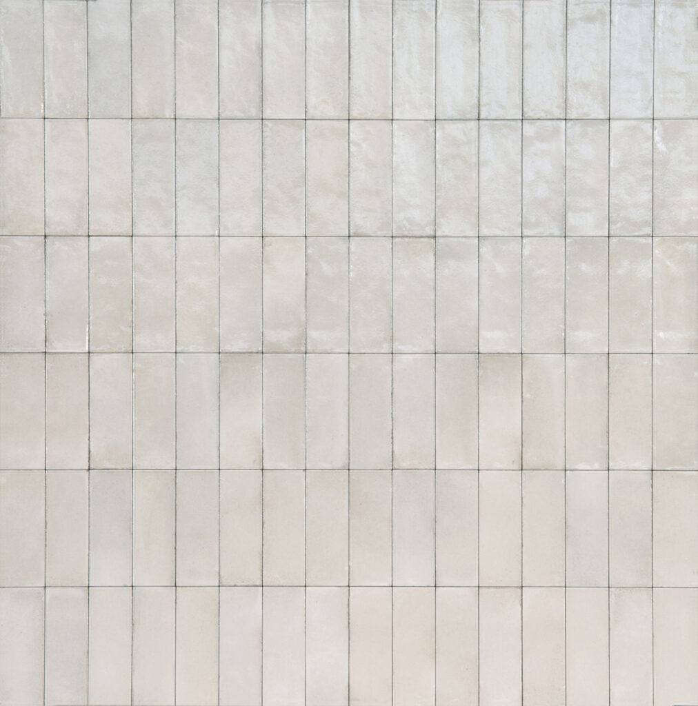 Rice Natural Rectangle 3x8