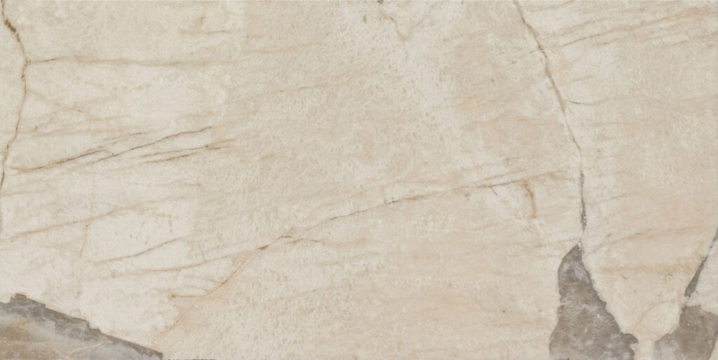 Savoir Rectangle 12x24 Matte Pierre
