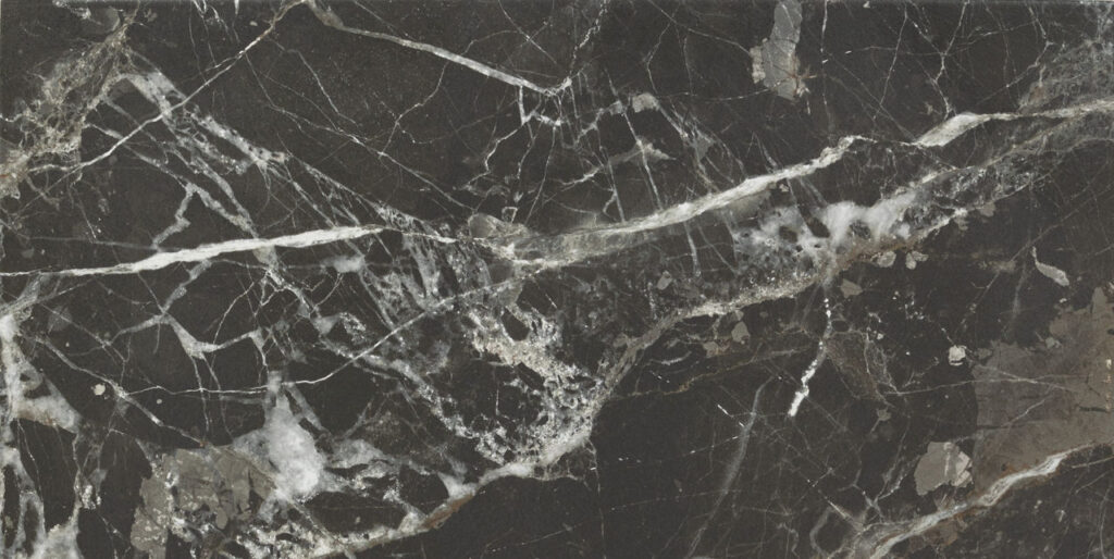 Savoir Rectangle 24x48 Polished Noir