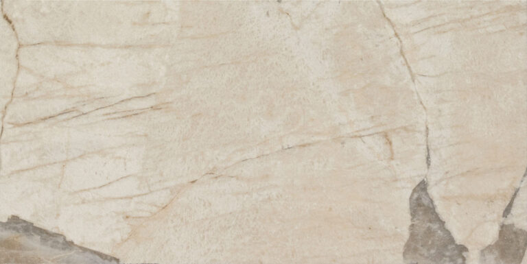 Savoir Rectangle Polished 12x24 Pierre