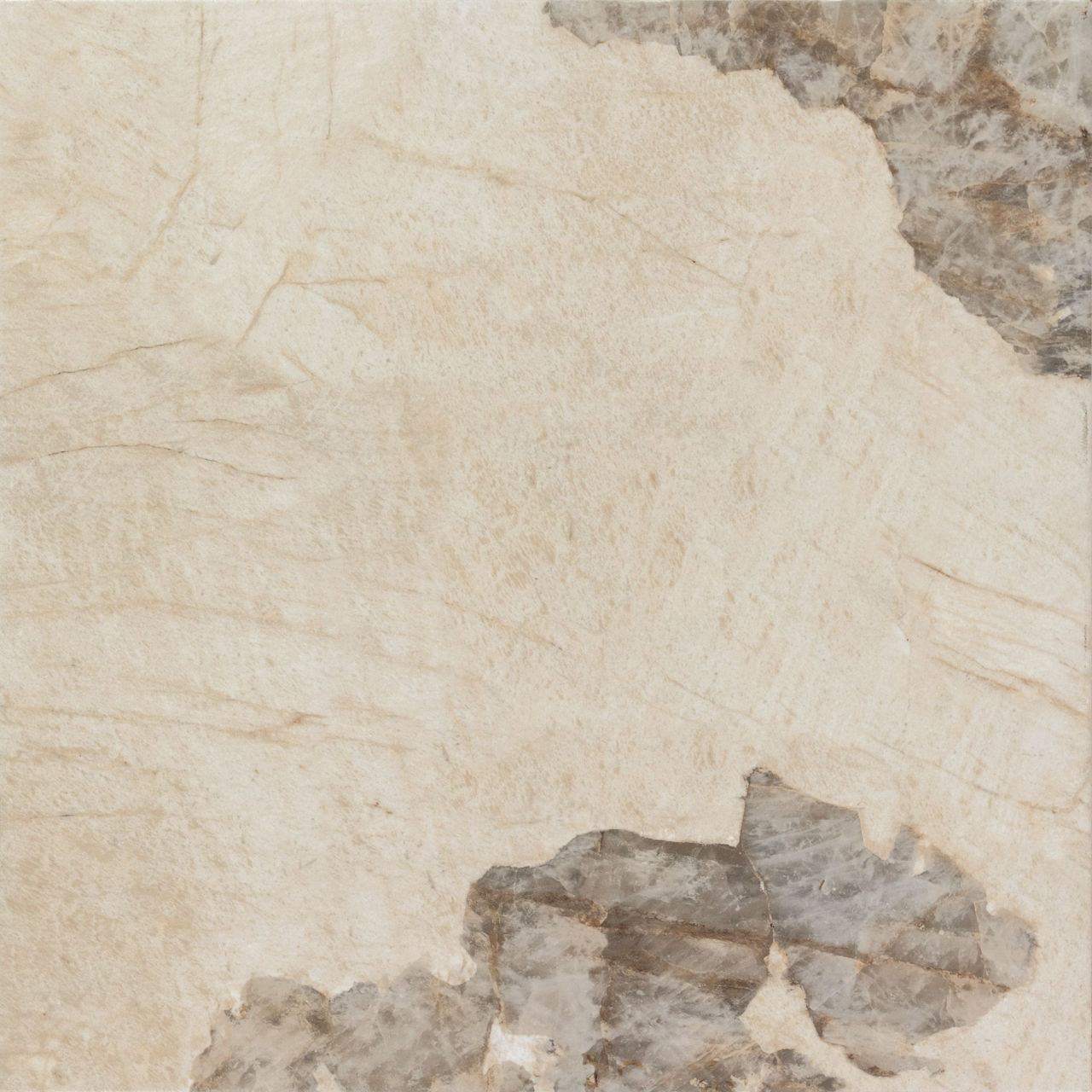Savoir 24″ x 24″ Polished