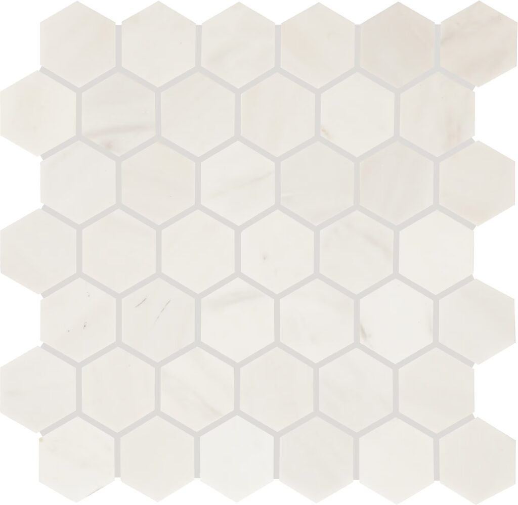 Eclessia Marble 2 Hexagon Honed Pacifica