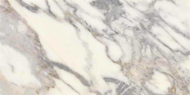 Eclessia Marble Arabescato Argento 12 x 24