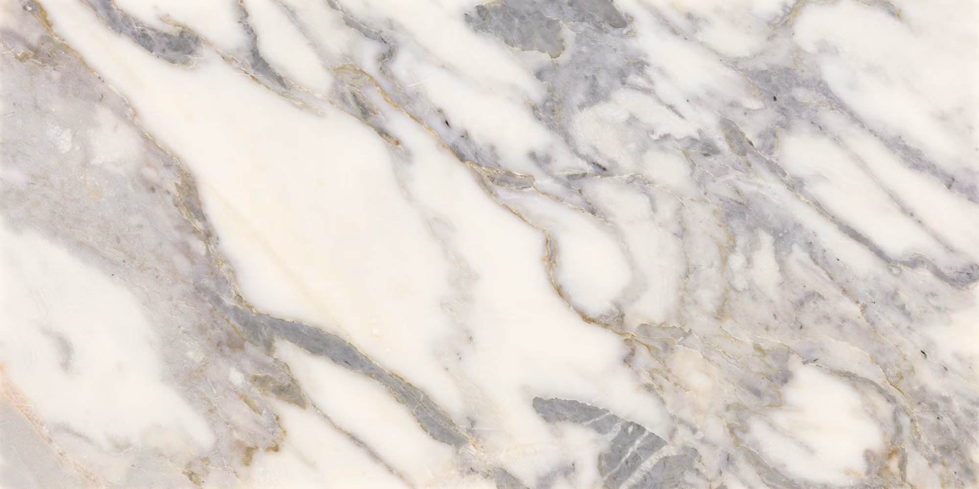 Eclessia Marble Arabescato Argento, Pacifica, & Volakas 12″ x 24″