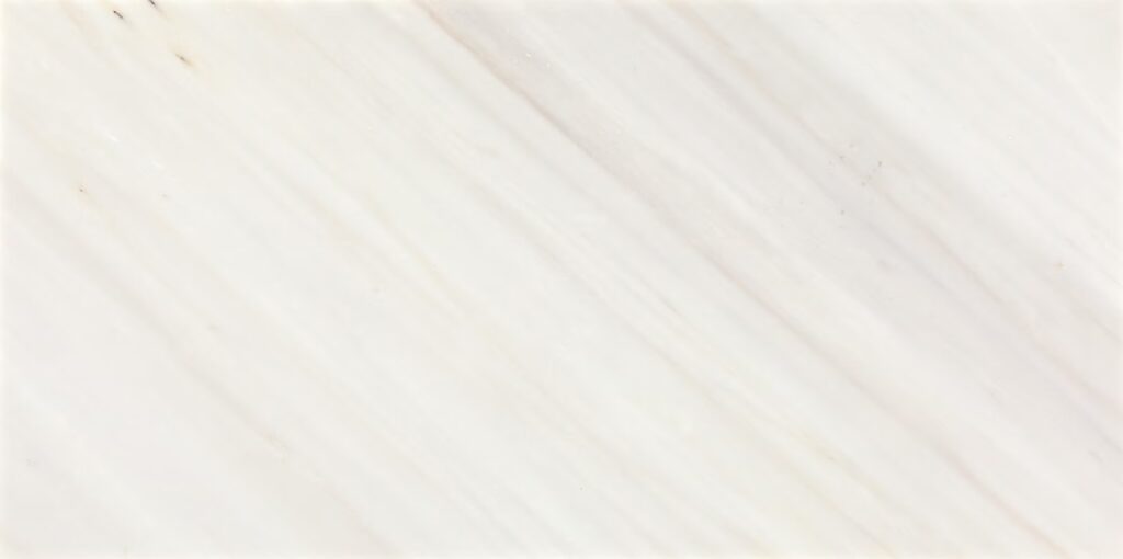 Eclessia Marble Pacifica 12 x 24