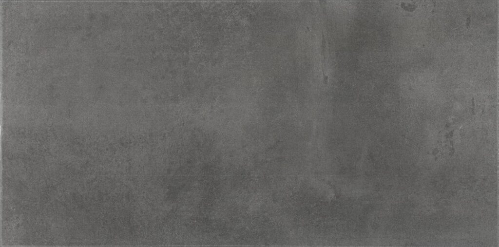Emergent 12 x 24 Light Polish Titanium