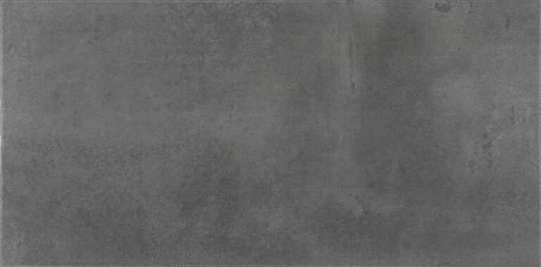 Emergent 12 x 24 Light Polish Titanium