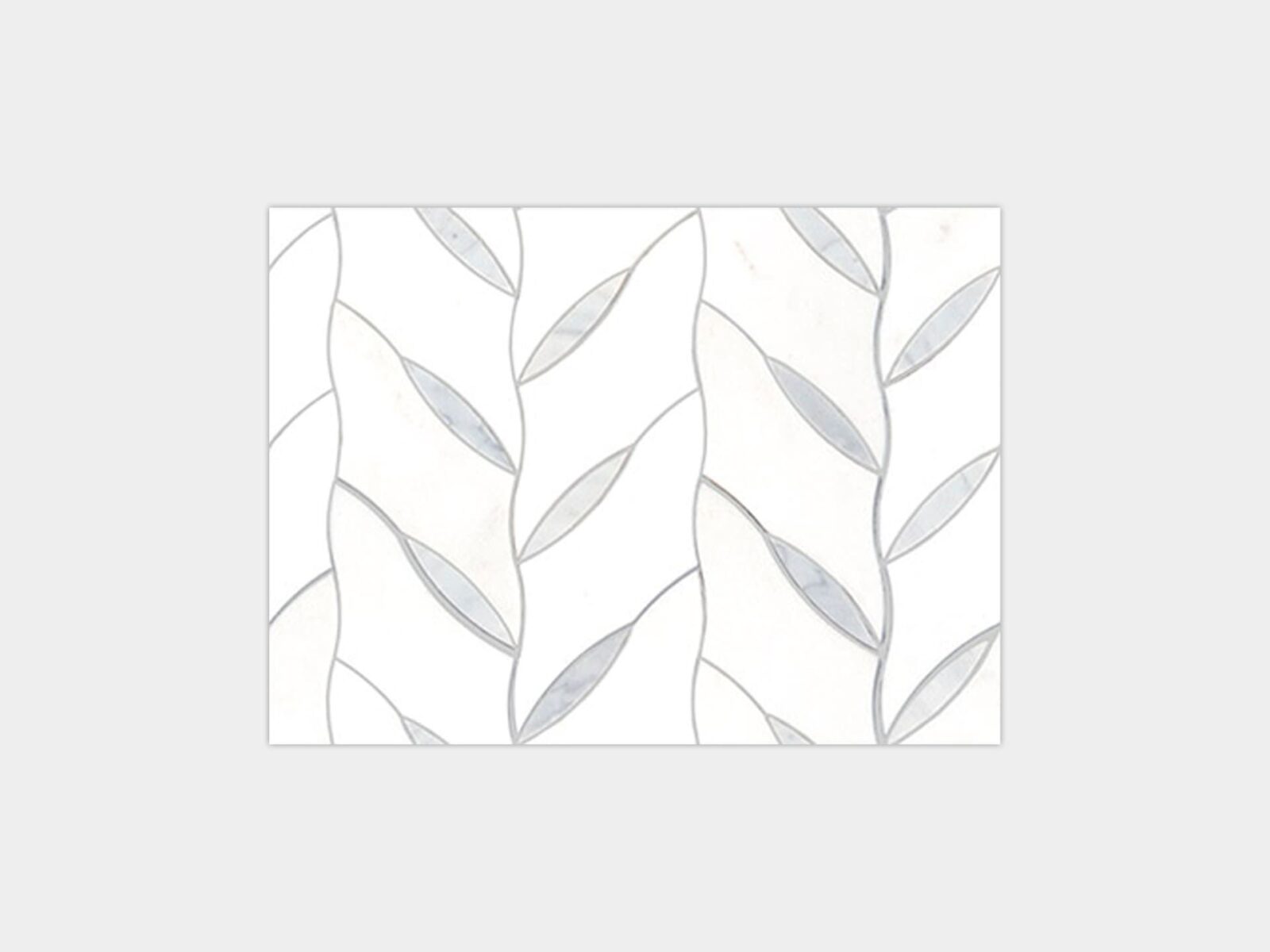 Essential Spike 13″ X 10″