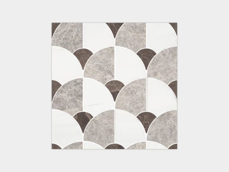 Figure Shell Dark 12X12