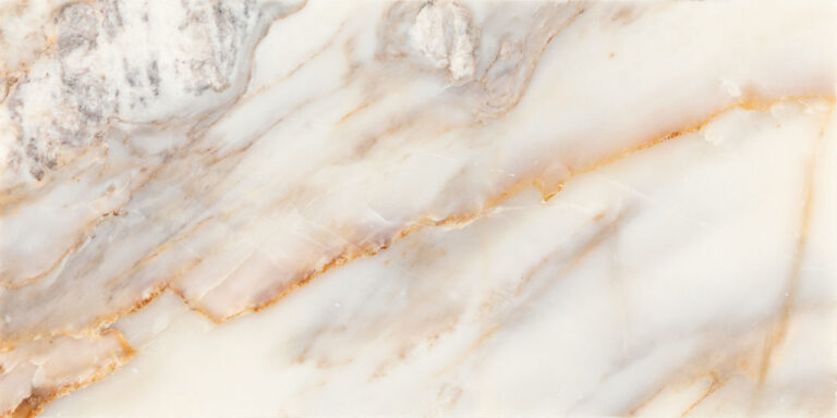 Gamma 24 x 48 Polished Bella