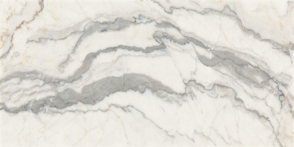 Gamma 24 x 48 Polished Illusive