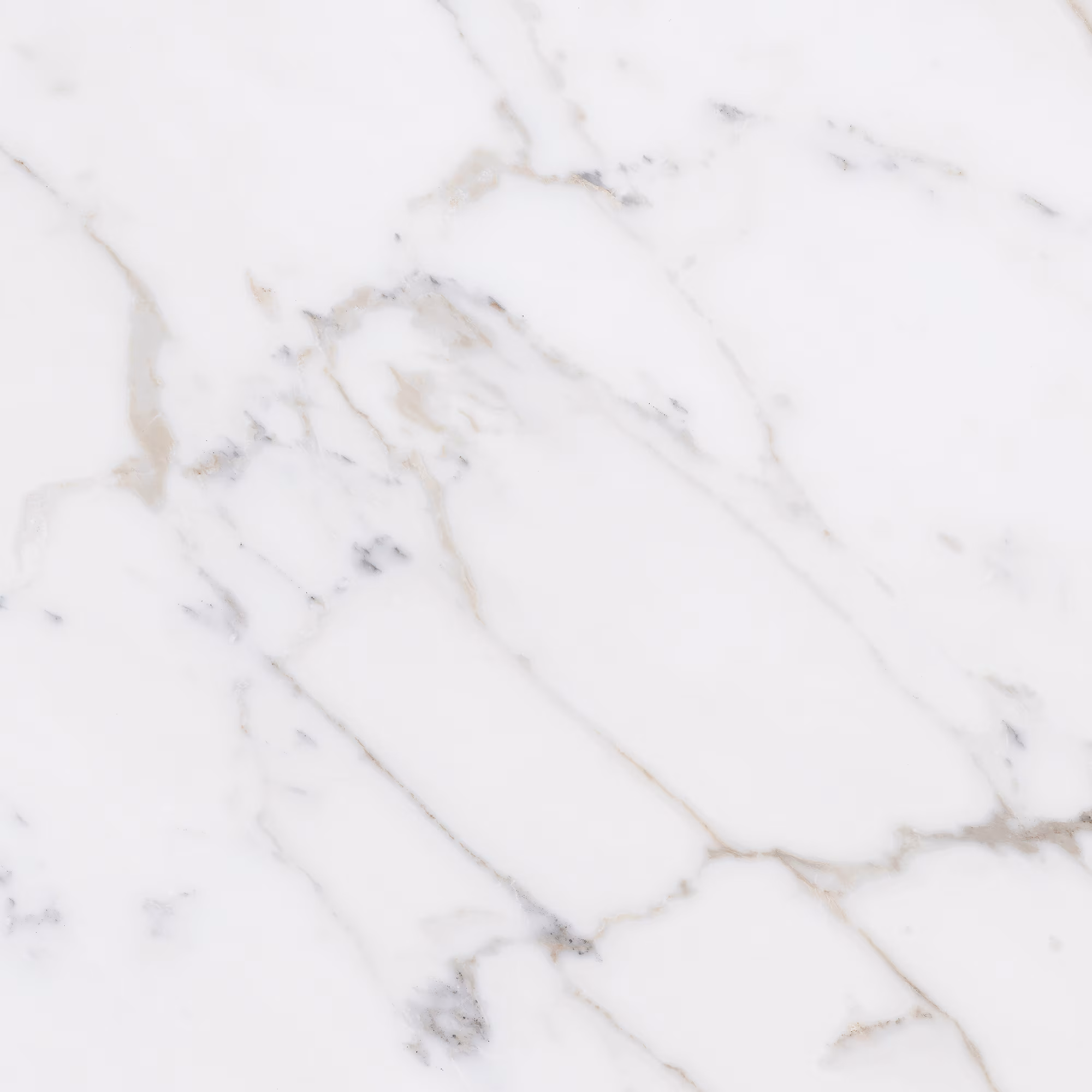Marble Attaché Lavish 24″ x 24″