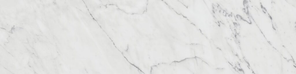 Marble Attaché Lavish 6 x 24 Matte Diamond Carrara