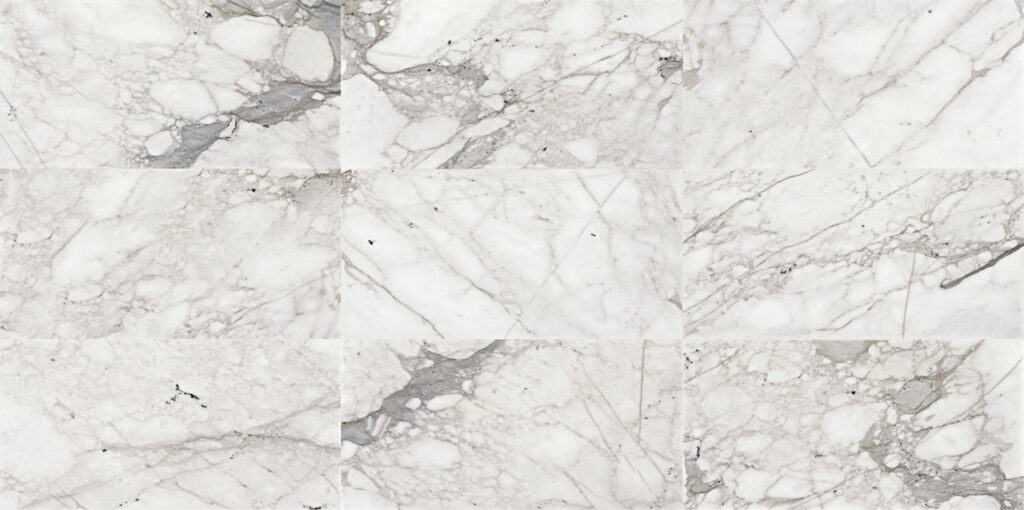 Marble Venetian Calacatta 12 x 24 Polished