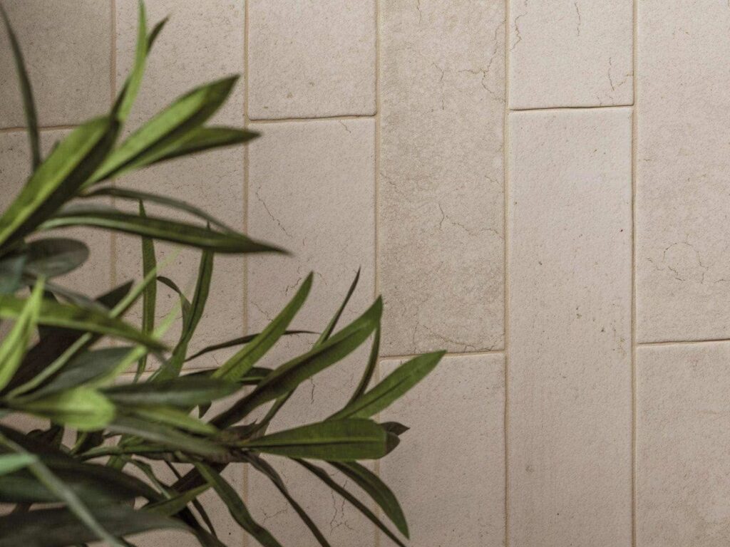 Parma Limestone 3X12 wall sample close up 2