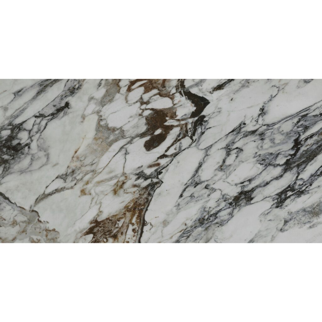 PARKVIEW™ 47 x 102 Polished Astral