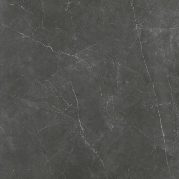 STERLINA II ASPHALT MATTE 24X24
