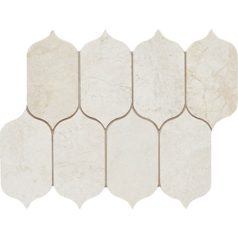 Completa Lotus Terra Nova