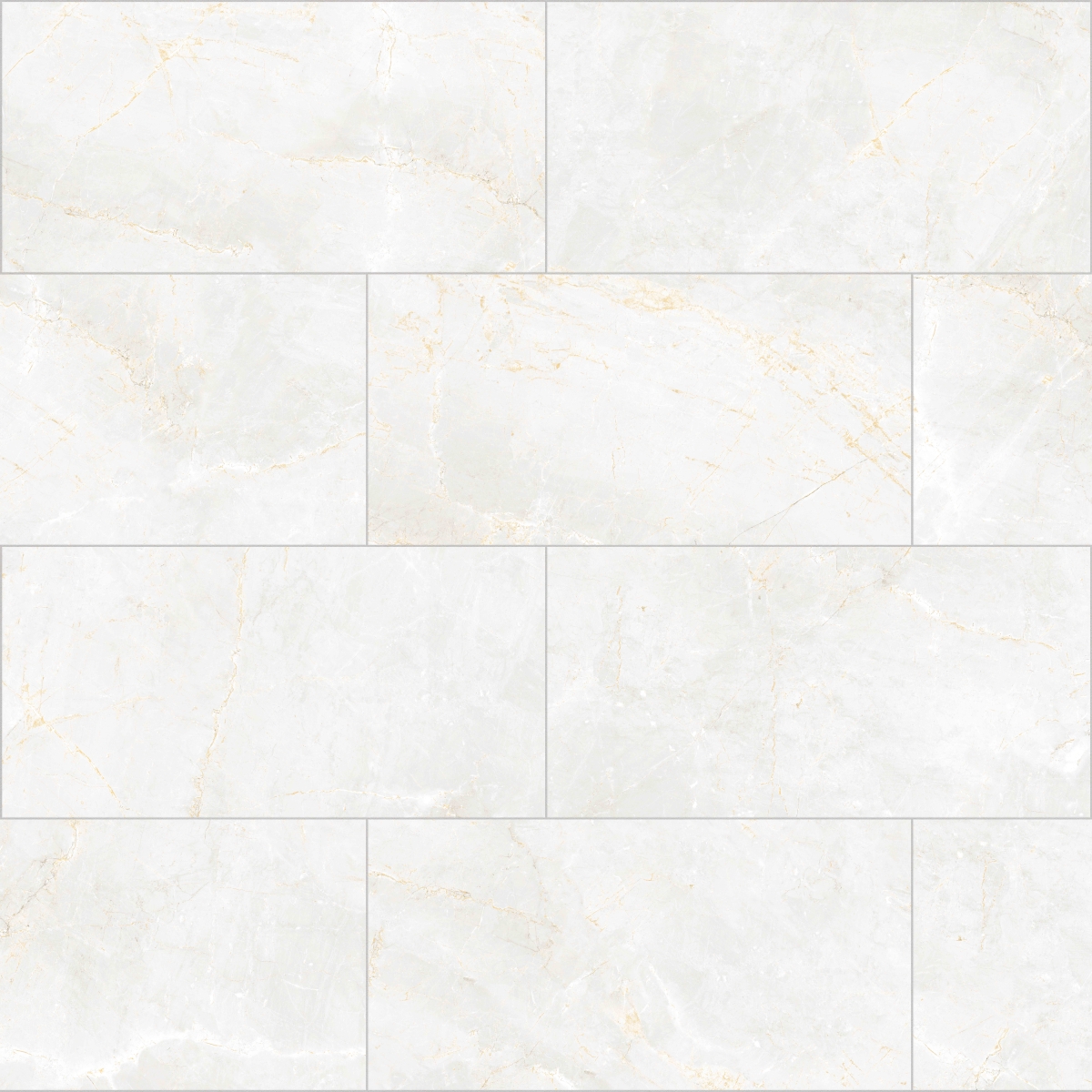 SAVINO 12″ X 24″ Matte