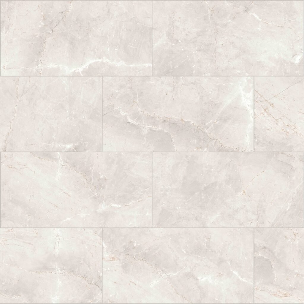 SAVINO 12 X 24 Polished Argent