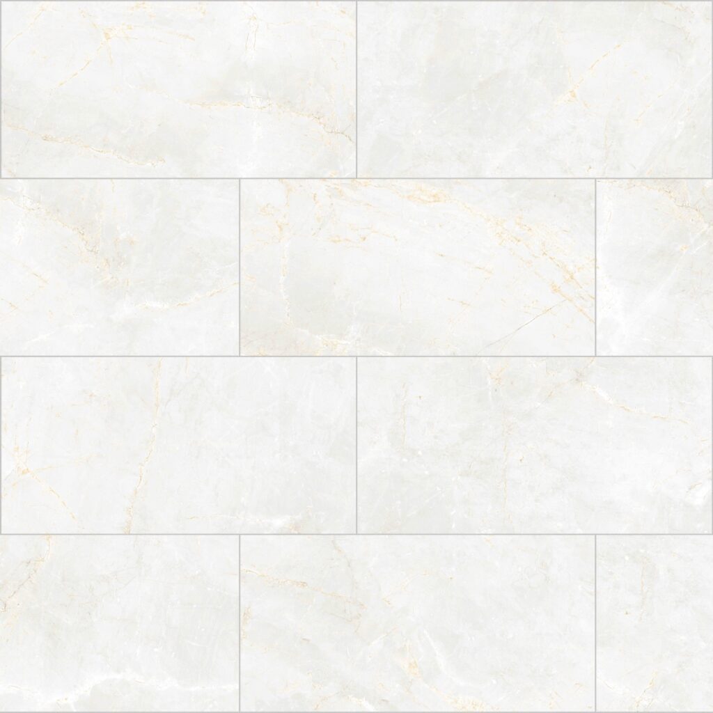 SAVINO 12 X 24 Polished Blanc