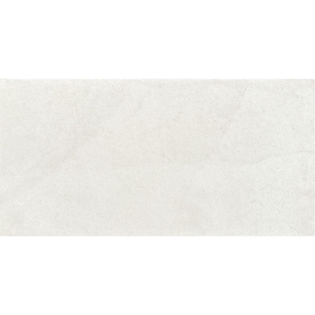 Fossil Stone 12x24x3 cm Paver Tumbled