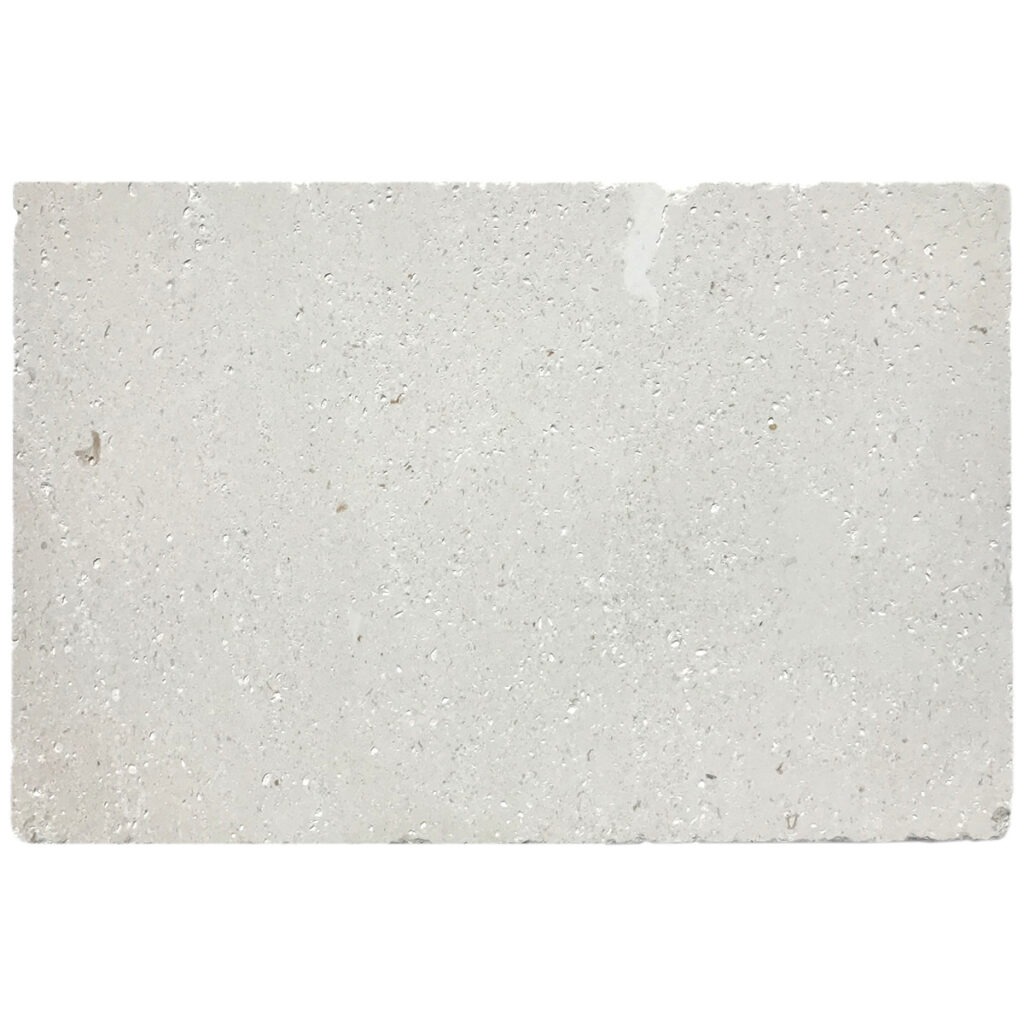 Fossil Stone Paver Tumbled 16x24x3 cm