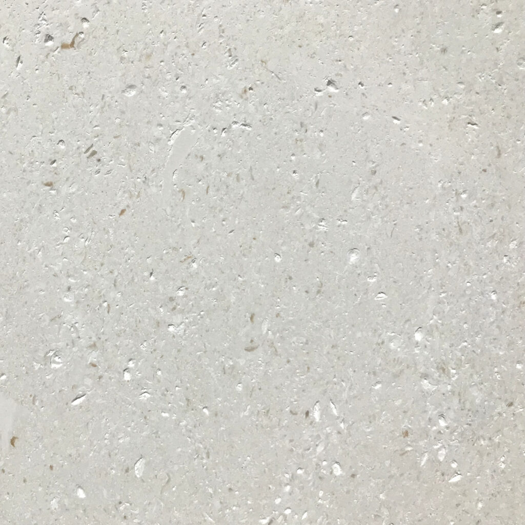 Fossil Stone Paver Tumbled 16x24x3 cm close up