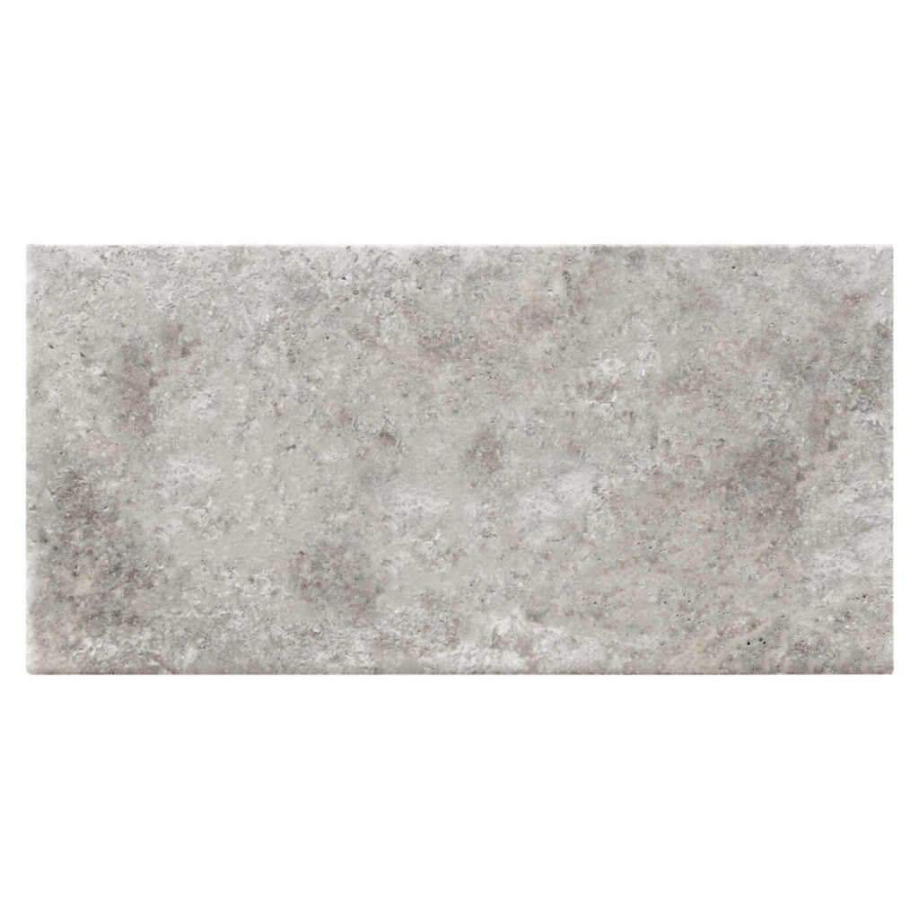 Silver Paver 16x24x3 cm Tumbled