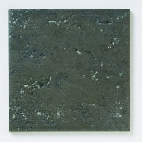 Carolina Series Black 6x6