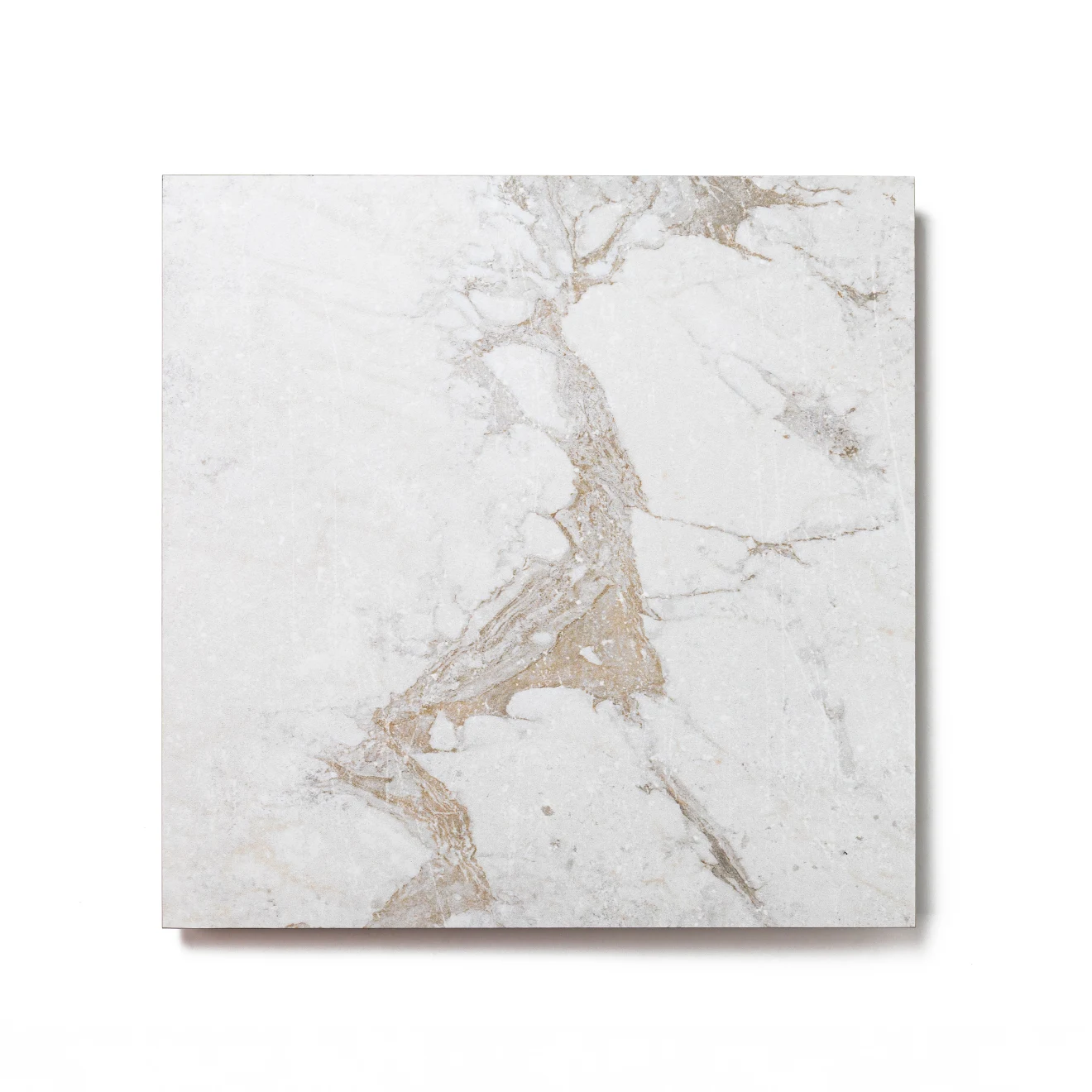 Antica Roma 12 x 12 Matte Porcelain Tile in Bianco