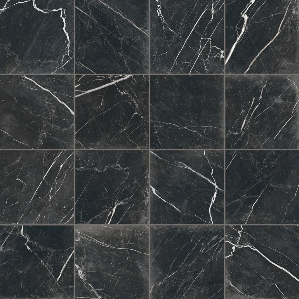 Antica Roma 12 x 12 Matte Porcelain Tile in Nero grid