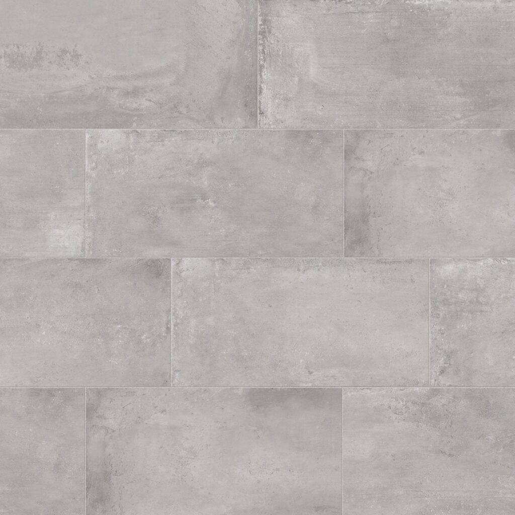 +One 12 x 24 Matte Porcelain Field Tile in Ash