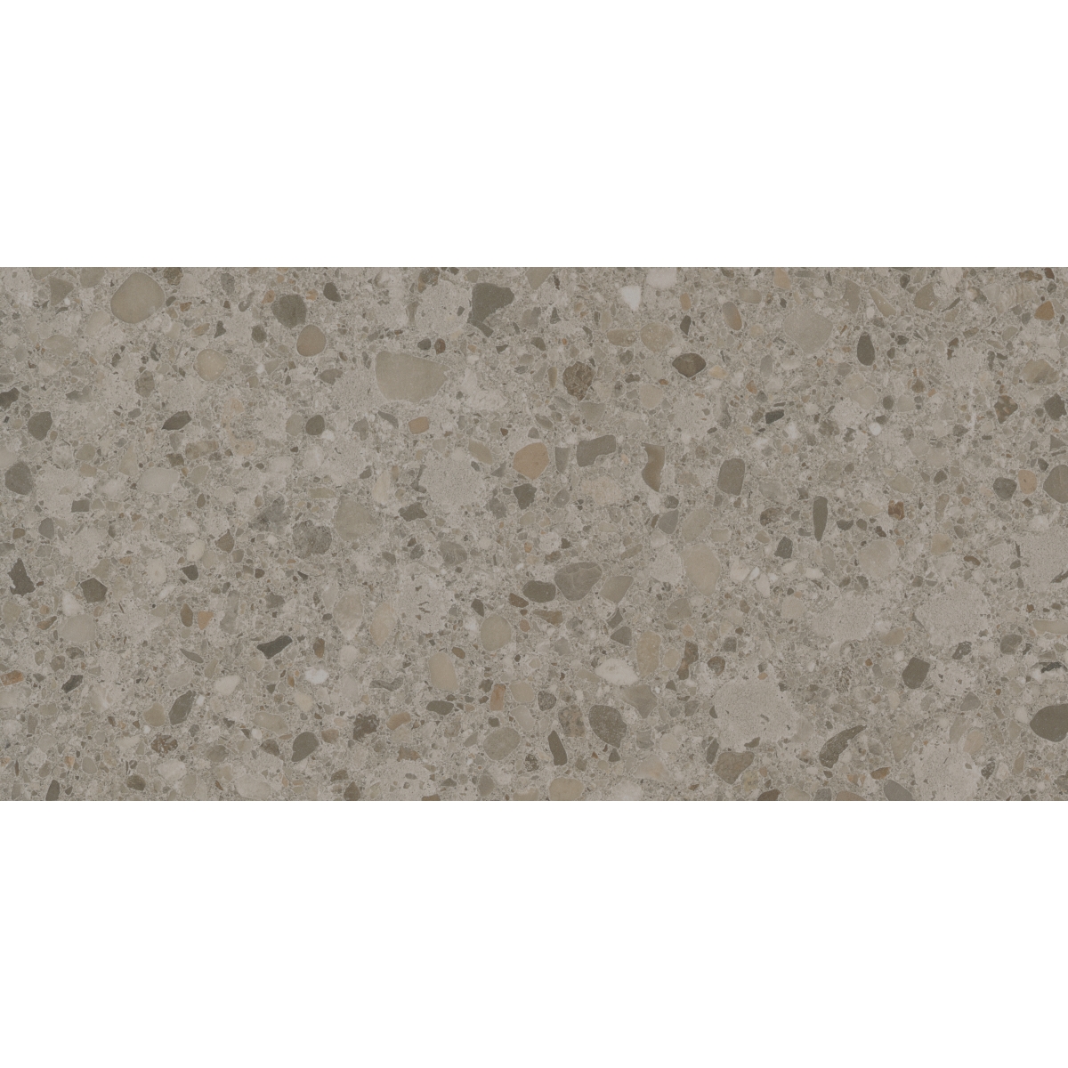 MIXT 12″ X 24″ FLAKE